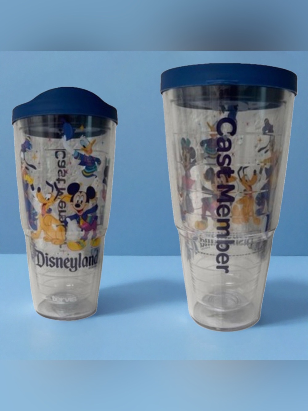 Disneyland 70th Anniversary Cast Member Tervis 24oz Tumbler